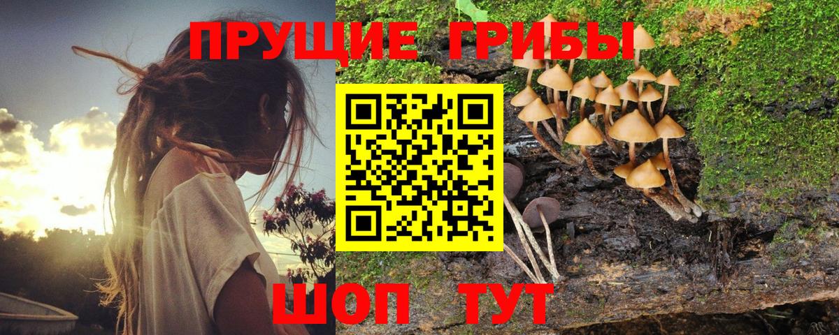 Галлюциногенные грибы Cubensis  Псилоцибиновые грибы Psilocybe  Вход с VPN  Борисоглебск 