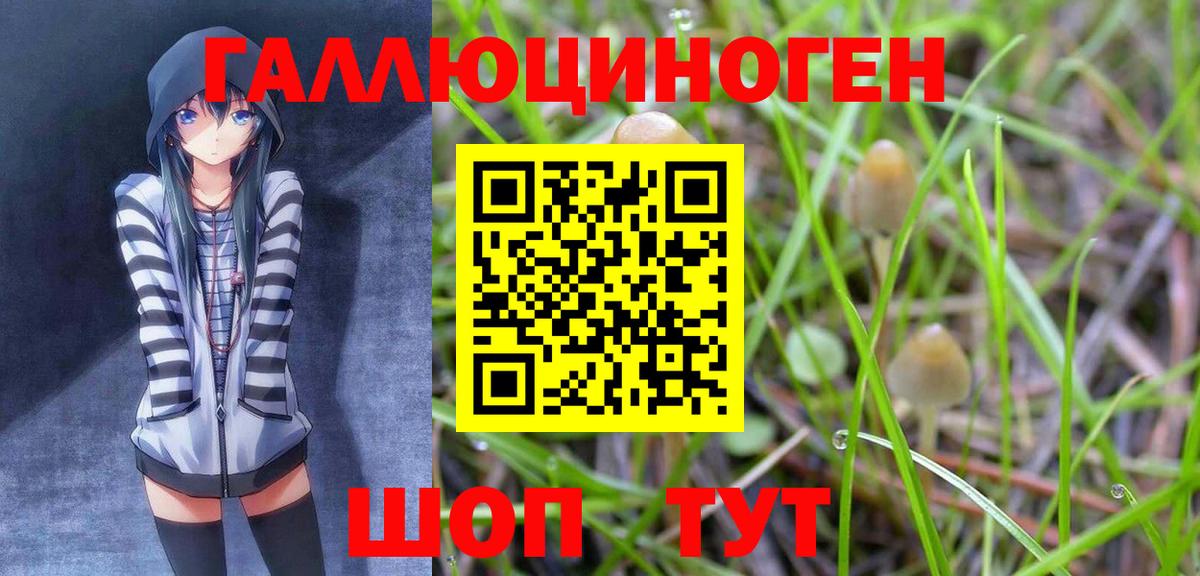 Псилоцибиновые грибы GOLDEN TEACHER Борисоглебск